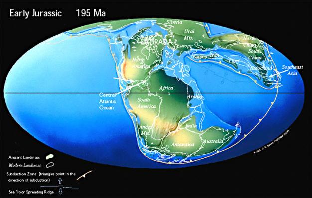 dance-of-the-giant-continents-burke-museum